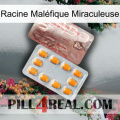 Racine Maléfique Miraculeuse new13